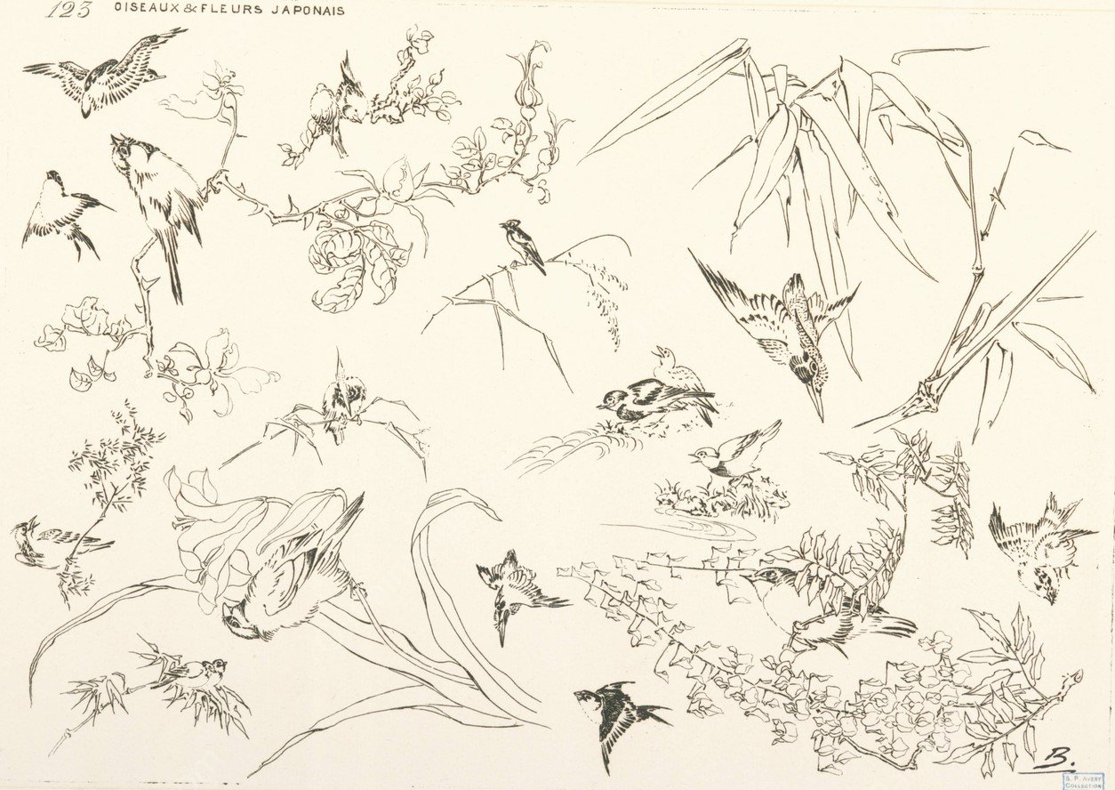 Oiseaux et fleurs japonais  by Felix Bracquemond - Hand-Painted Oil Painting Reproduction