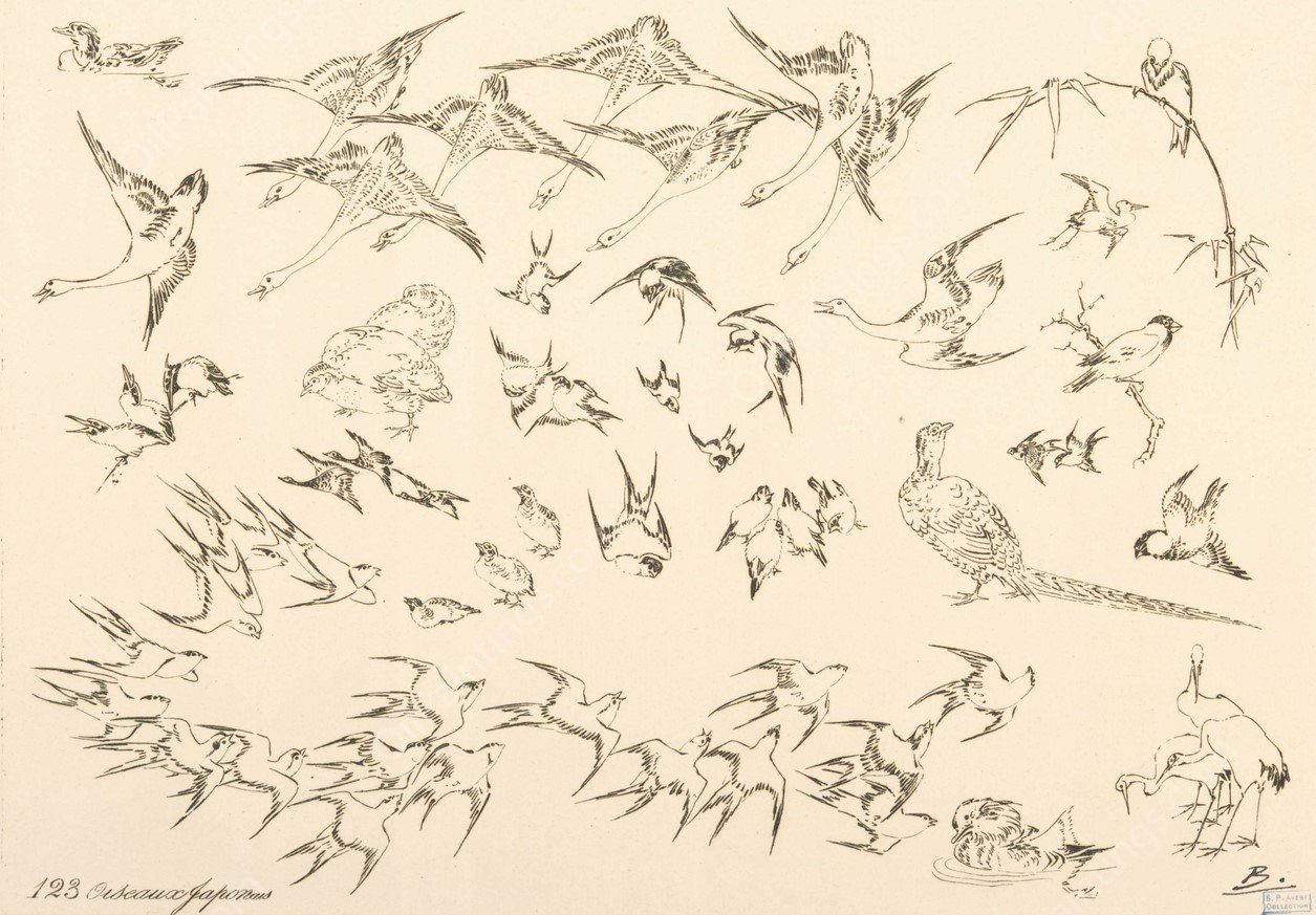 Oiseaux japonais by Felix Bracquemond - Hand-Painted Oil Painting Reproduction