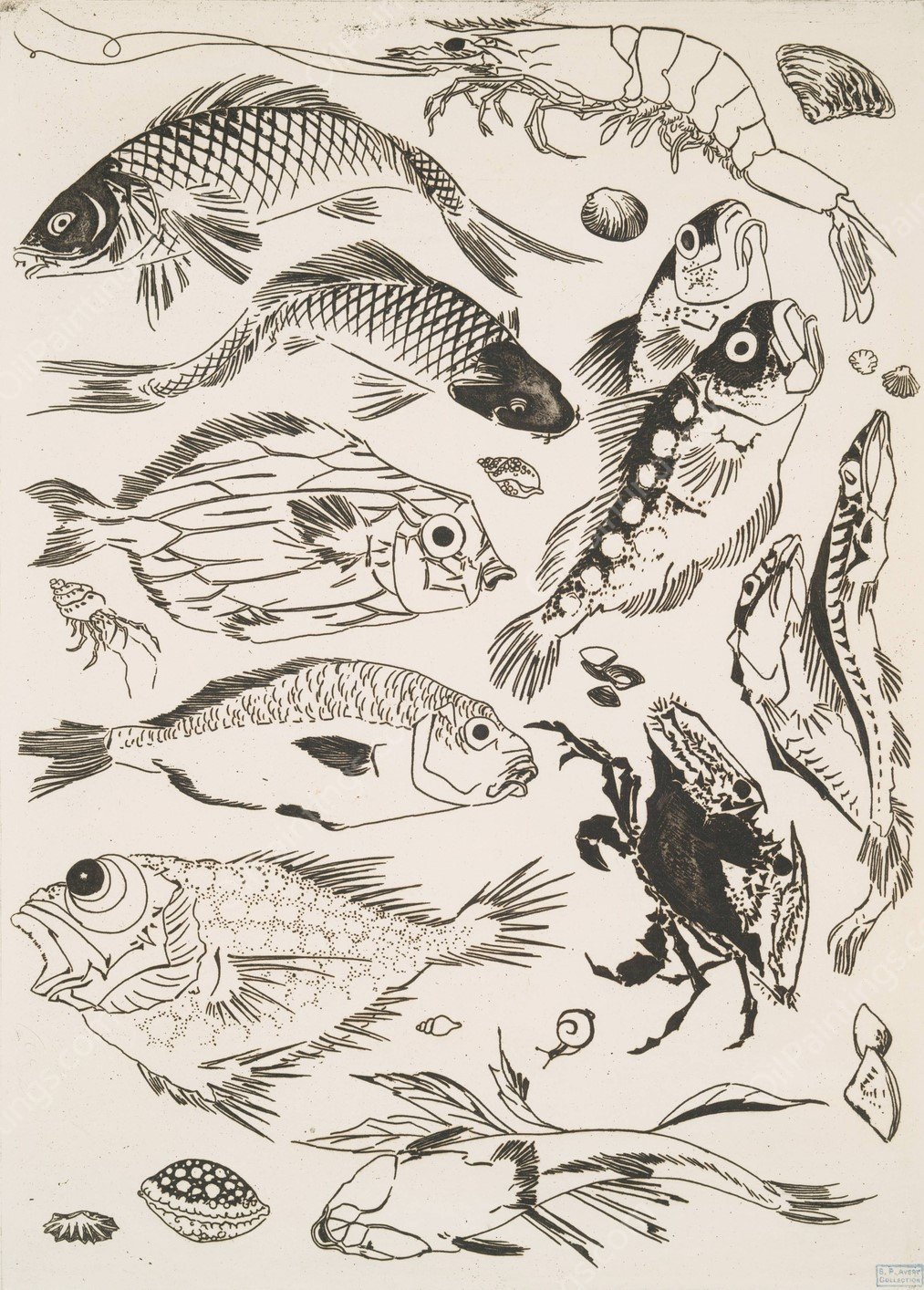 Poissons  by Felix Bracquemond - Hand-Painted Oil Painting Reproduction