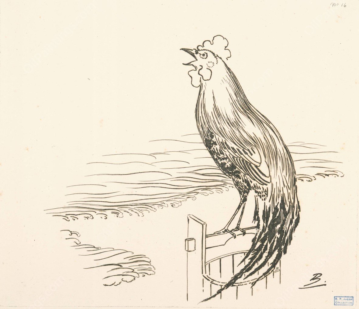 Un coq perche sur un seau, devant la mer by Felix Bracquemond - Hand-Painted Oil Painting Reproduction