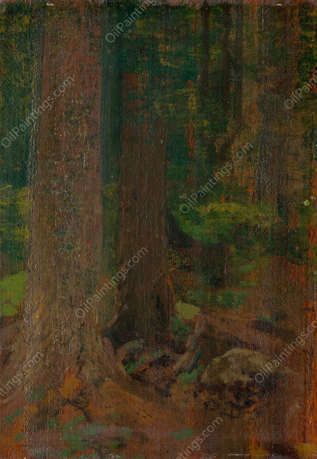Study of Forest  by Ferdinand Katona - Hand-Painted Oil Painting Reproduction