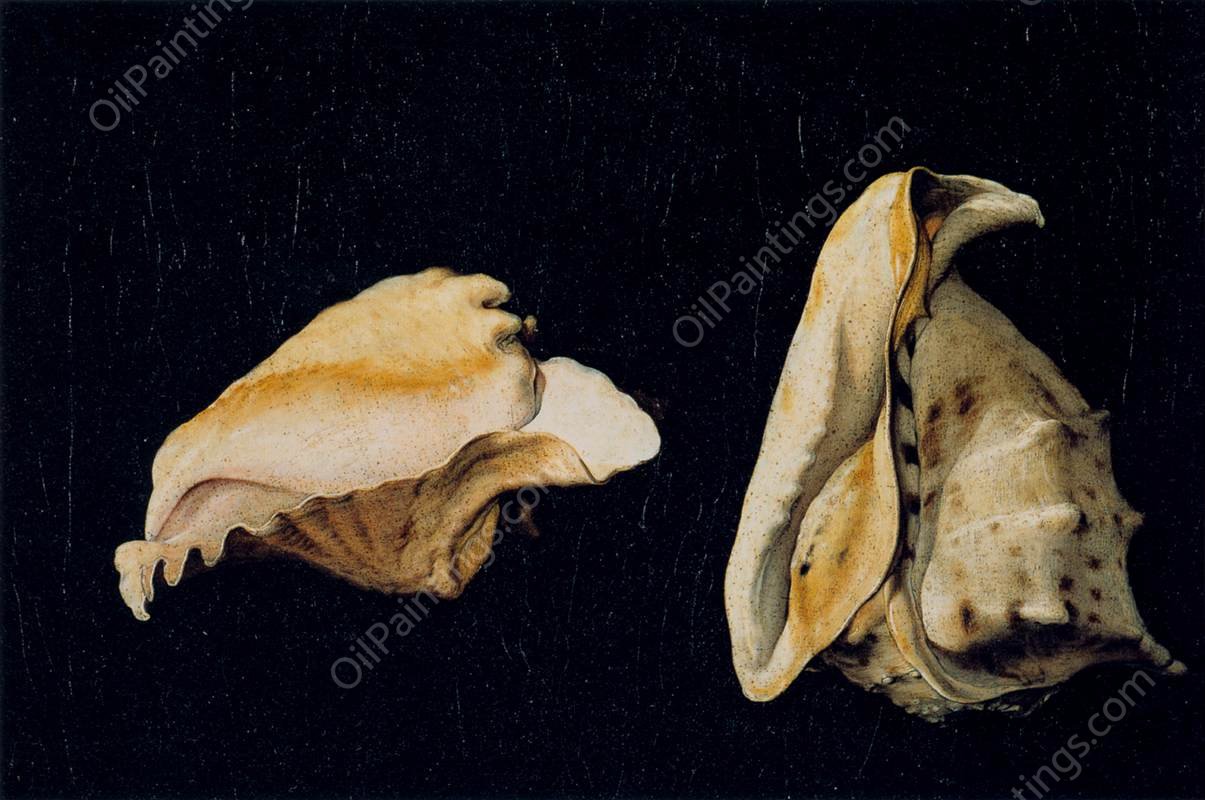 Two Shells by Filippo Napoletano - Hand-Painted Oil Painting Reproduction