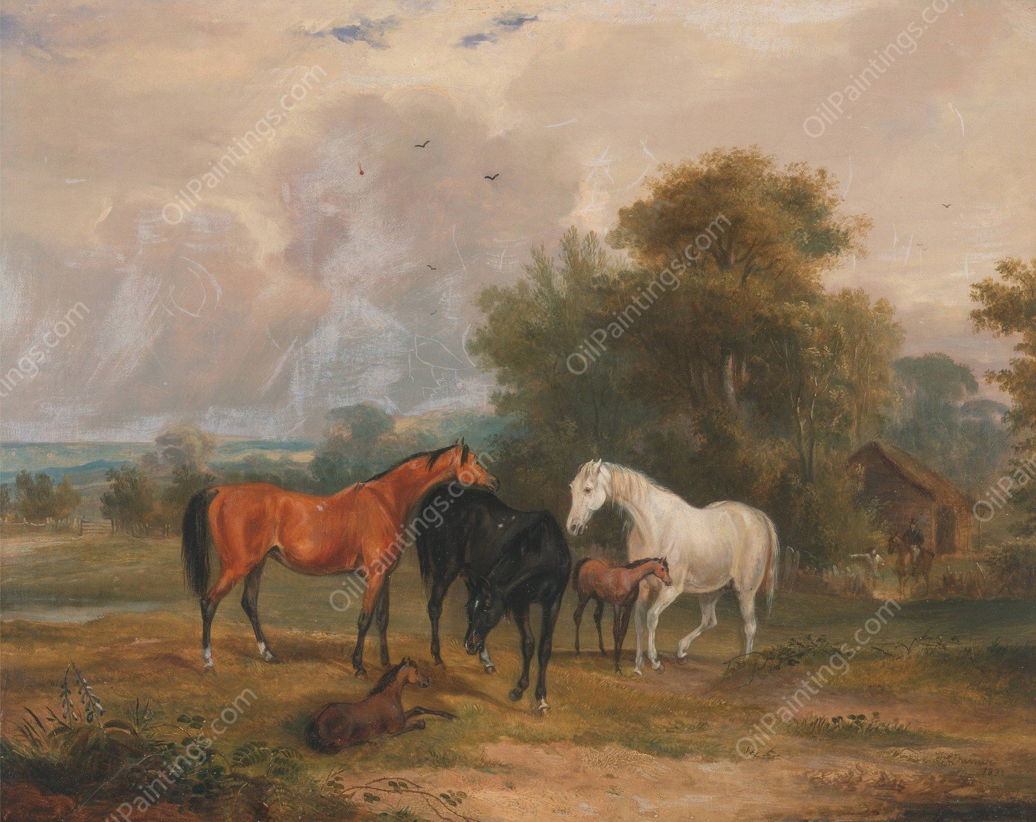 Horses Grazing; Mares and Foals in a Field  by Francis Calcraft Turner - Hand-Painted Oil Painting Reproduction