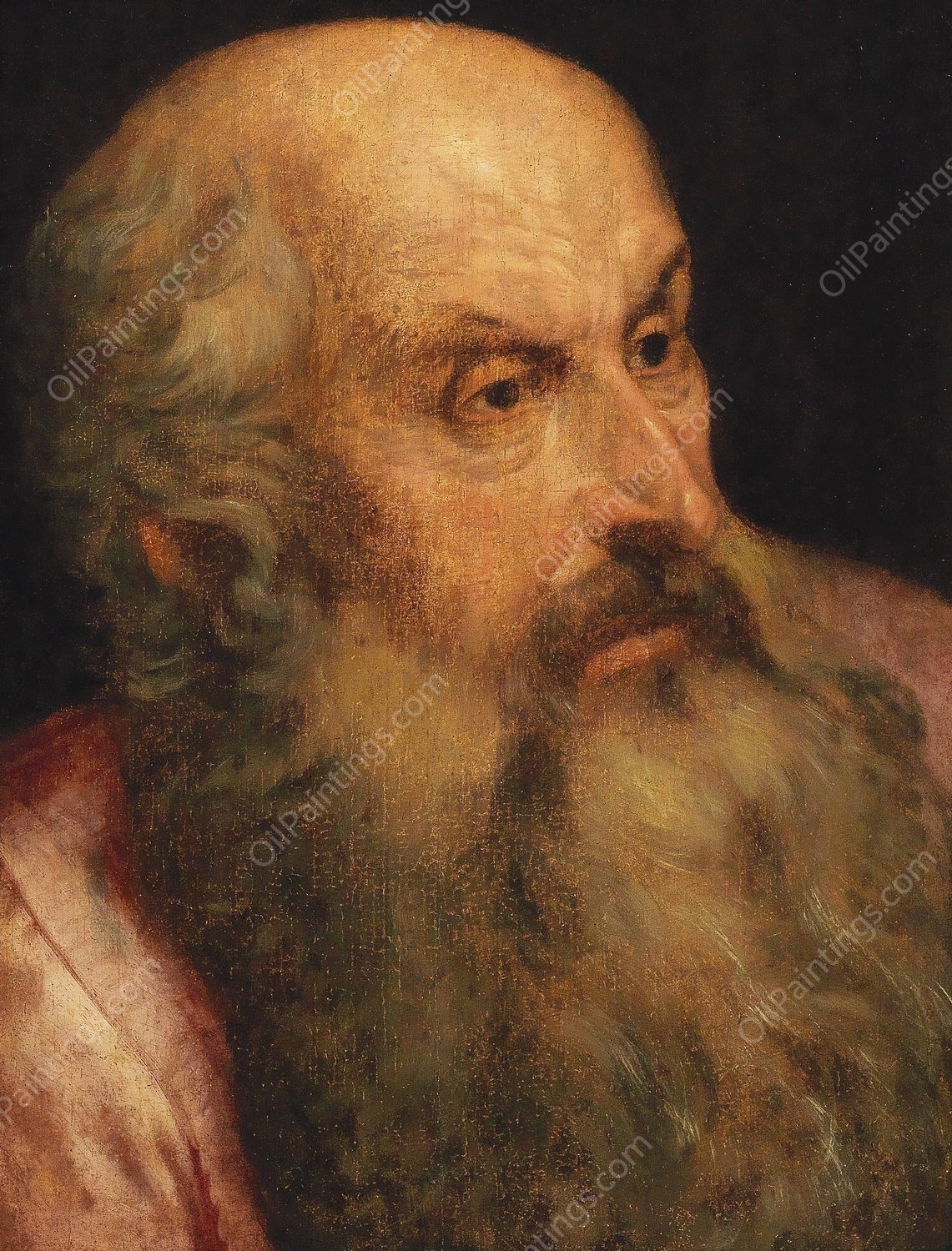 A Study Of A Bearded Man by Frans Floris - Hand-Painted Oil Painting Reproduction