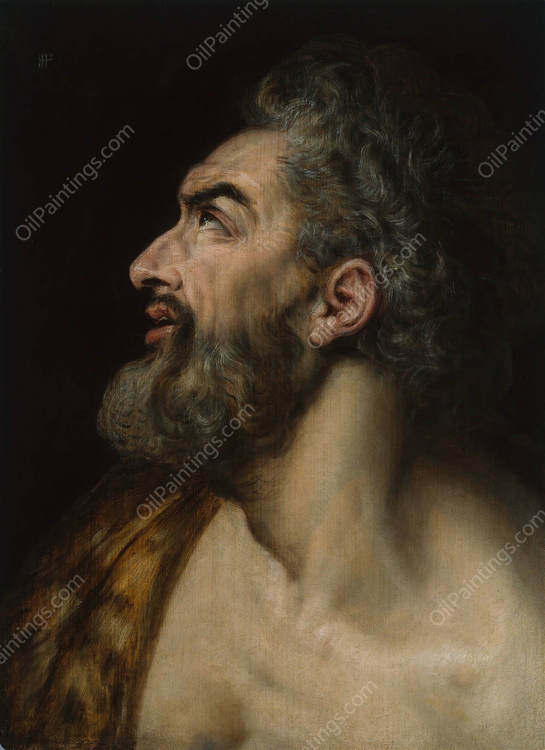 Study Head of a Bearded Man  by Frans Floris - Hand-Painted Oil Painting Reproduction