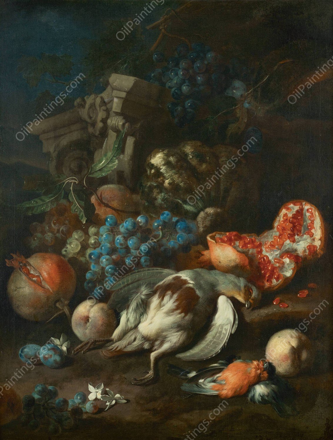 Fruchtestuck mit totem Rebhuhn und Gimpelmannchen  by Franz Werner Von Tamm - Hand-Painted Oil Painting Reproduction