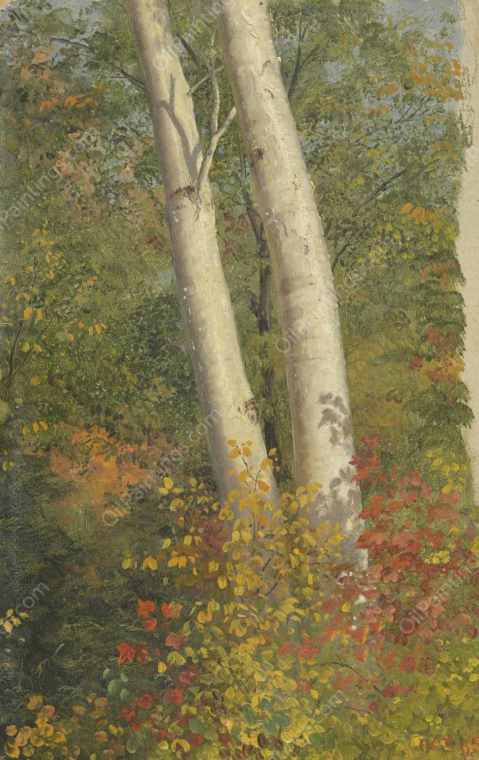 Birch Trees in Autumn  by Frederic Edwin Church - Hand-Painted Oil Painting Reproduction