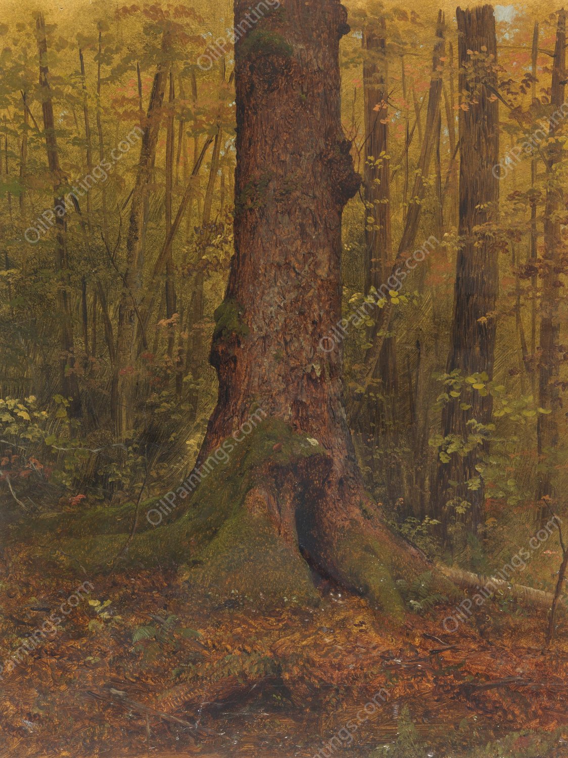 In the Woods, Probably Maine  by Frederic Edwin Church - Hand-Painted Oil Painting Reproduction