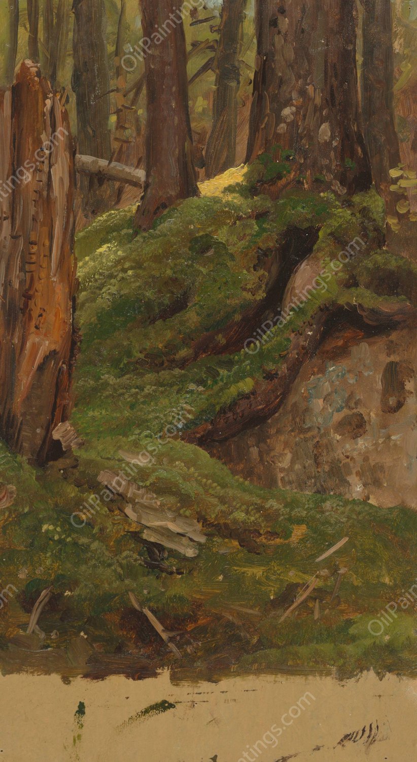 Maine Woods  by Frederic Edwin Church - Hand-Painted Oil Painting Reproduction