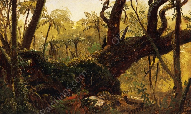 Rain Forest, Jamaica, West Indies by Frederic Edwin Church - Hand-Painted Oil Painting Reproduction
