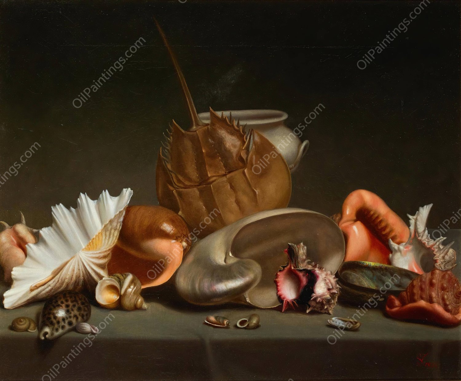 A Still Life With Sea Shells And Molluscs  by French School - Hand-Painted Oil Painting Reproduction