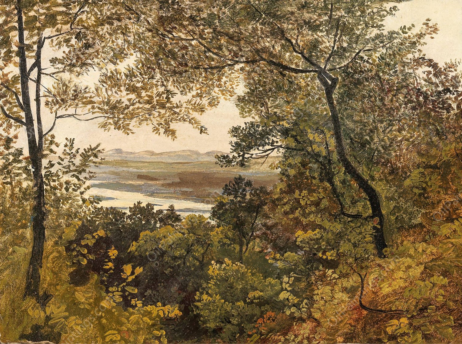 Blick auf die unregulierte Donau vom Bisamberg aus gesehen by Friedrich Gauermann - Hand-Painted Oil Painting Reproduction