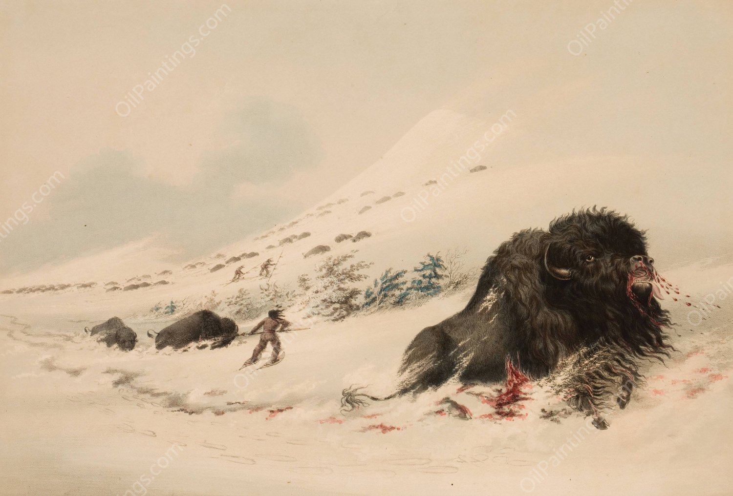 Buffalo Bull, in Snow Drift  by George Catlin - Hand-Painted Oil Painting Reproduction