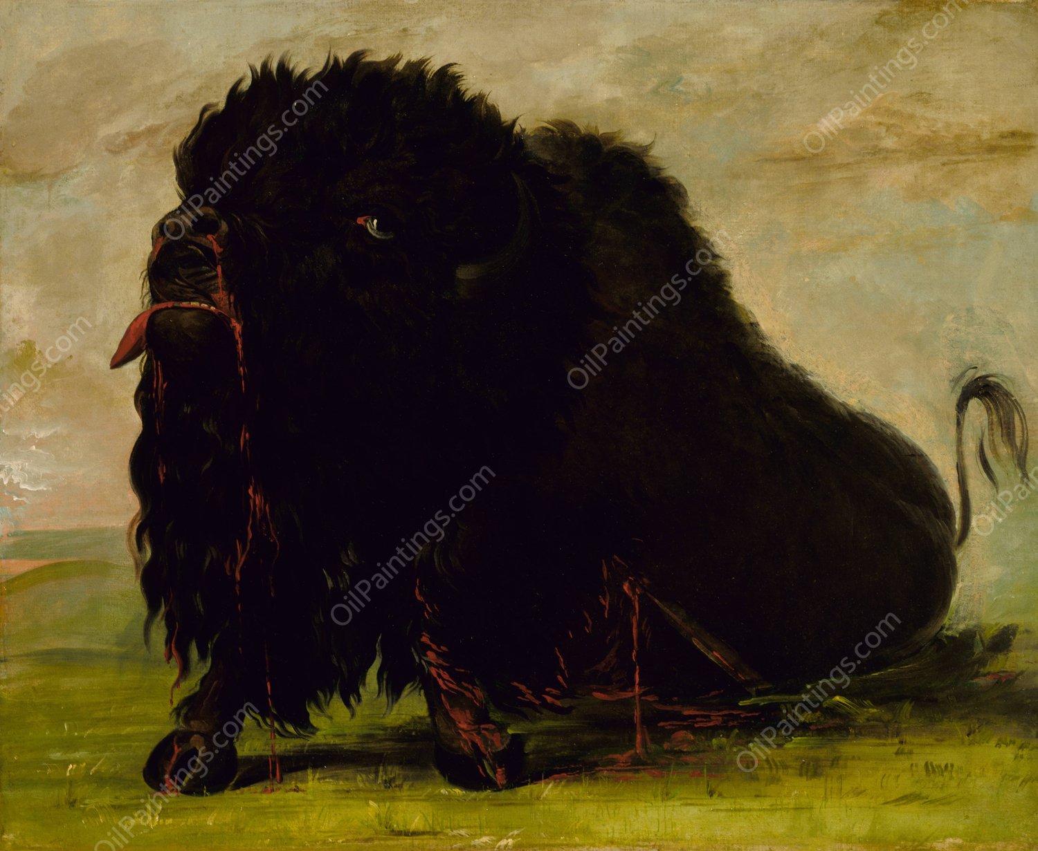 Dying Buffalo, Shot with an Arrow  by George Catlin - Hand-Painted Oil Painting Reproduction