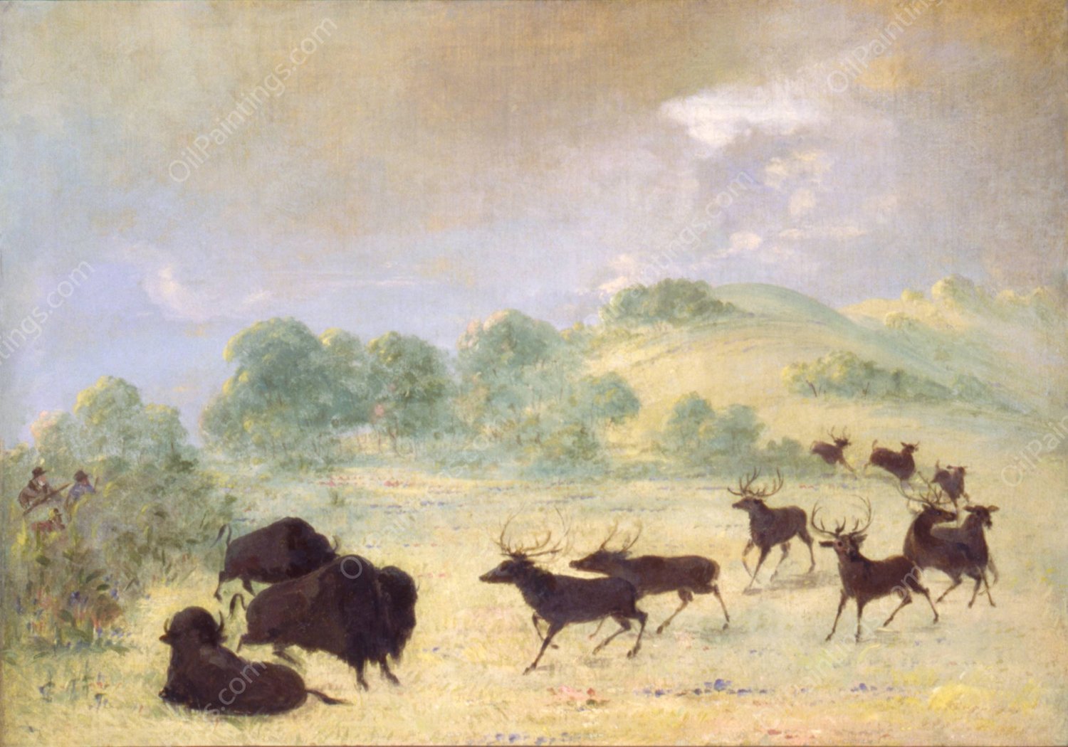 Elk and Buffalo Making Acquaintance, Texas  by George Catlin - Hand-Painted Oil Painting Reproduction