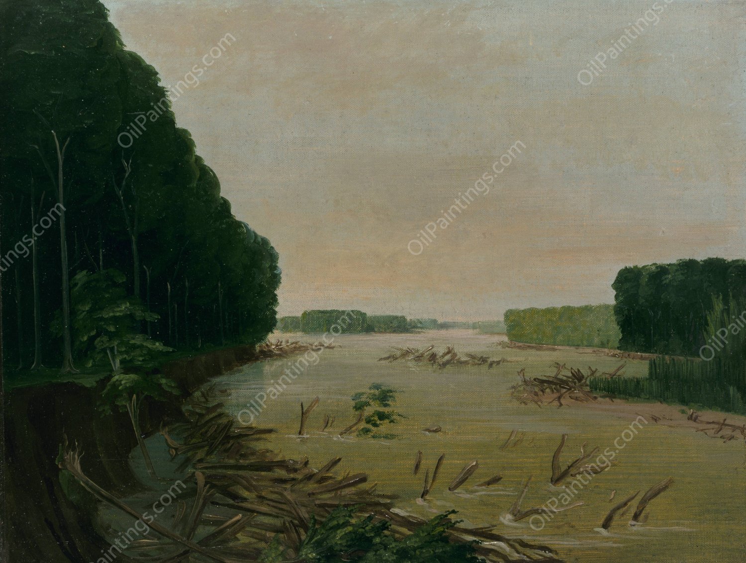 View On The Missouri, Alluvial Banks Falling In, 600 Miles Above St. Louis  by George Catlin - Hand-Painted Oil Painting Reproduction