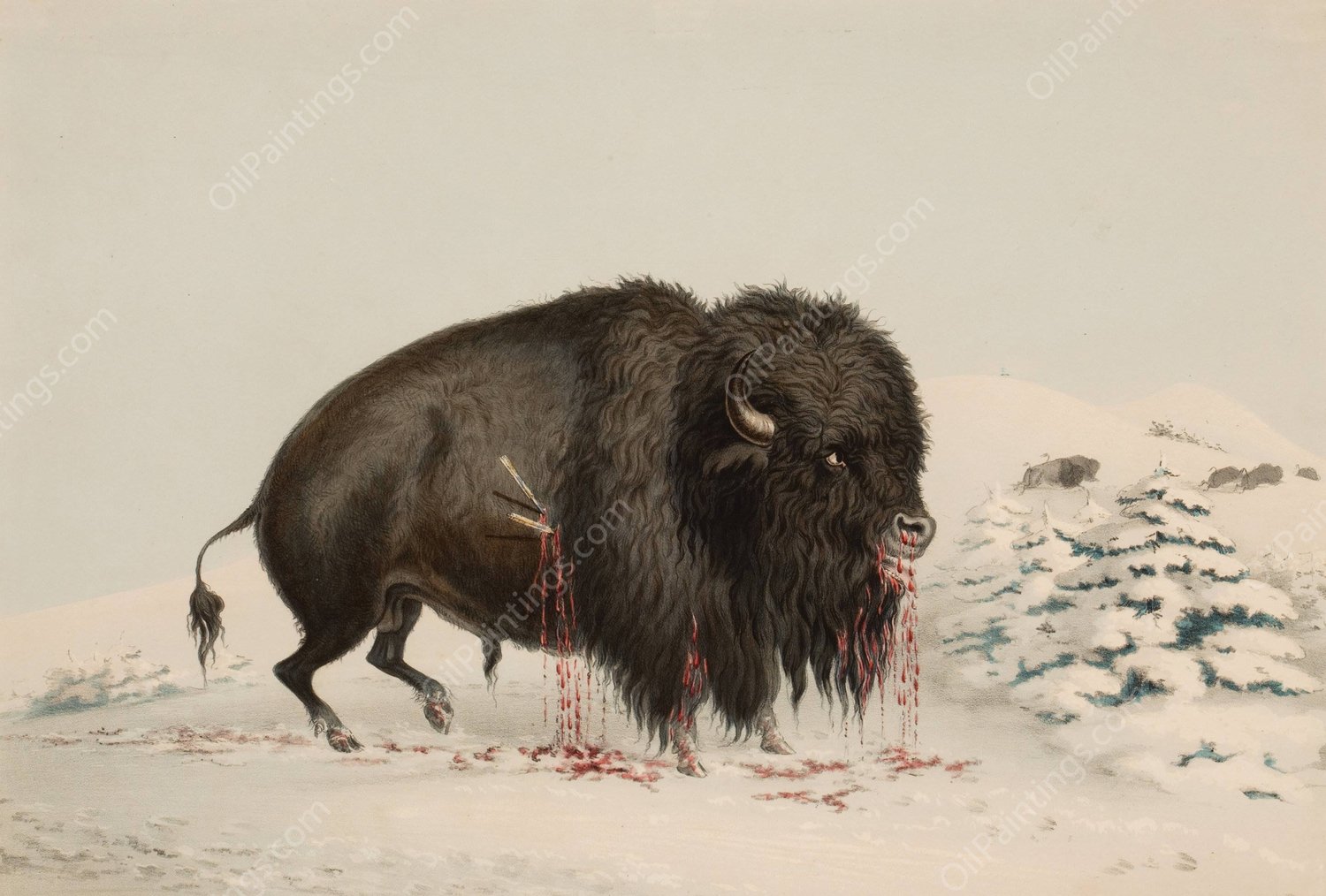 Wounded Buffalo Bull  by George Catlin - Hand-Painted Oil Painting Reproduction