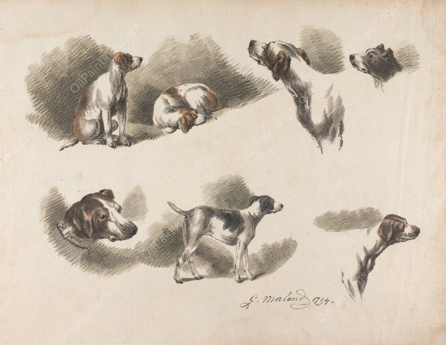 Seven studies on hound  by George Morland - Hand-Painted Oil Painting Reproduction