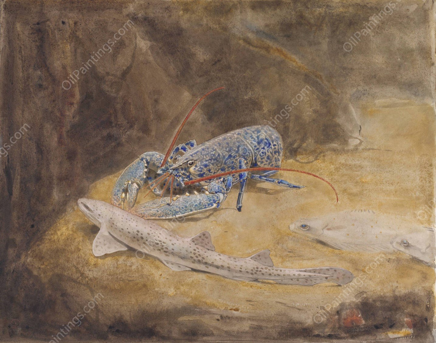 Aquarium met drie Noordzee vissen; Zeekreeft, Hondshaai en Schol  by Gerrit Willem Dijsselhof - Hand-Painted Oil Painting Reproduction