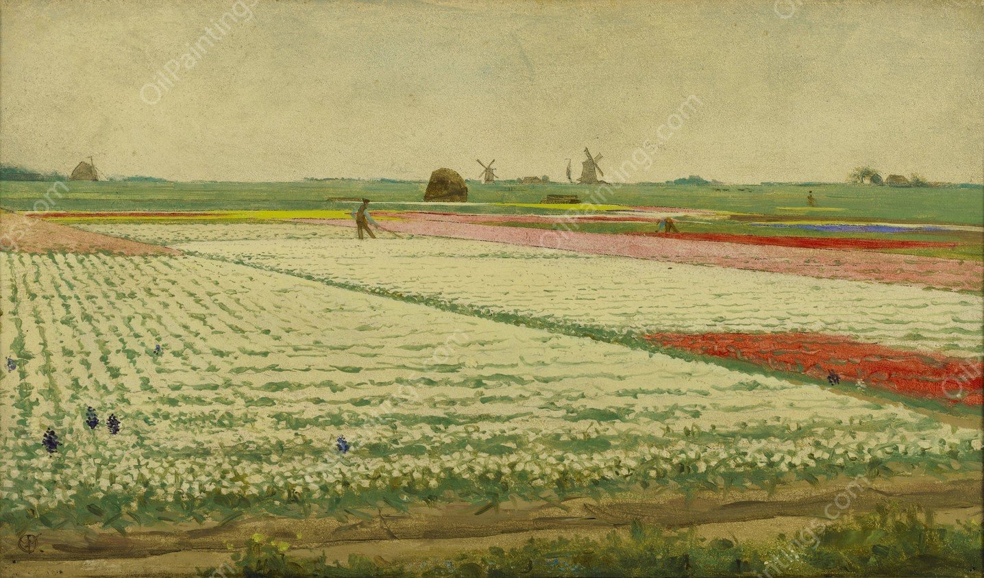 Tulip Fields  by Gerrit Willem Dijsselhof - Hand-Painted Oil Painting Reproduction