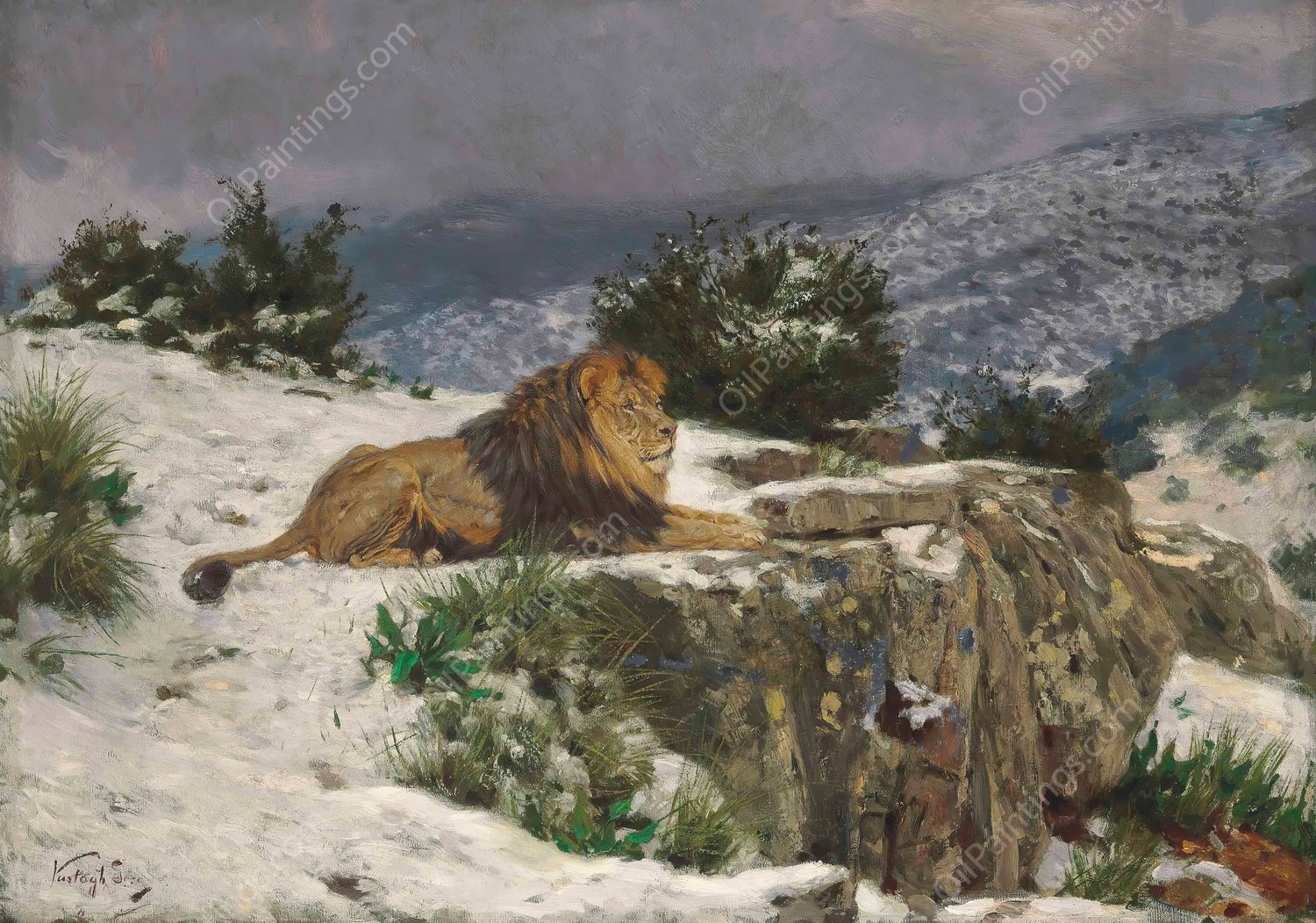 A Lion In The Snow by Geza Vastagh - Hand-Painted Oil Painting Reproduction