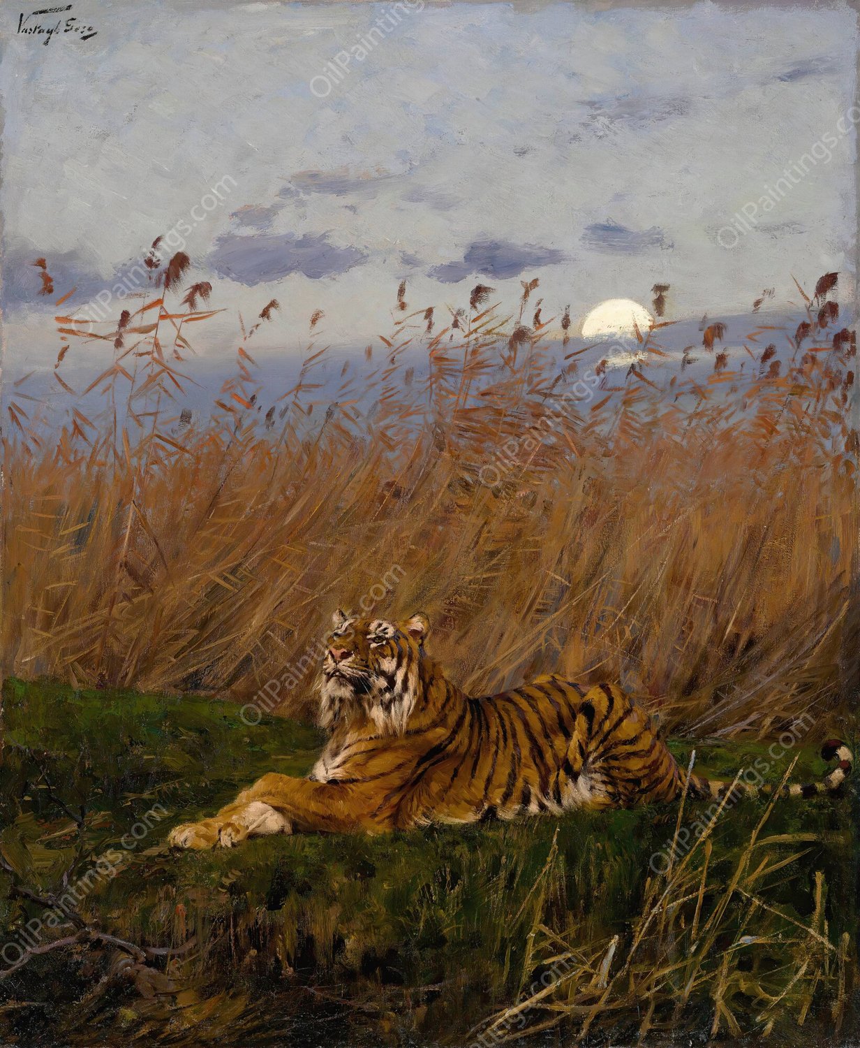 A Tiger Among Rushes In The Moonlight by Geza Vastagh - Hand-Painted Oil Painting Reproduction