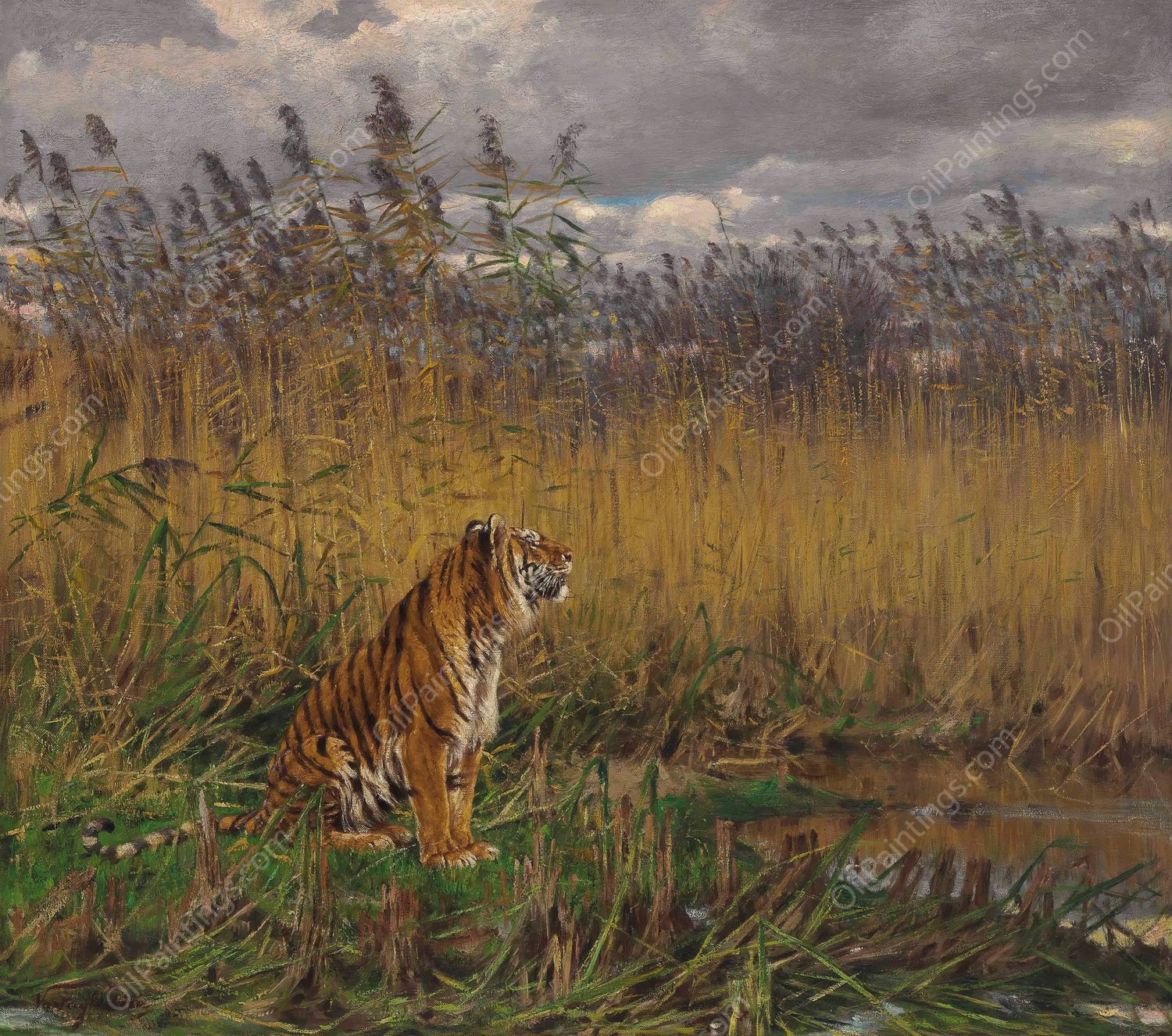 A Tiger in a Landscape by Geza Vastagh - Hand-Painted Oil Painting Reproduction