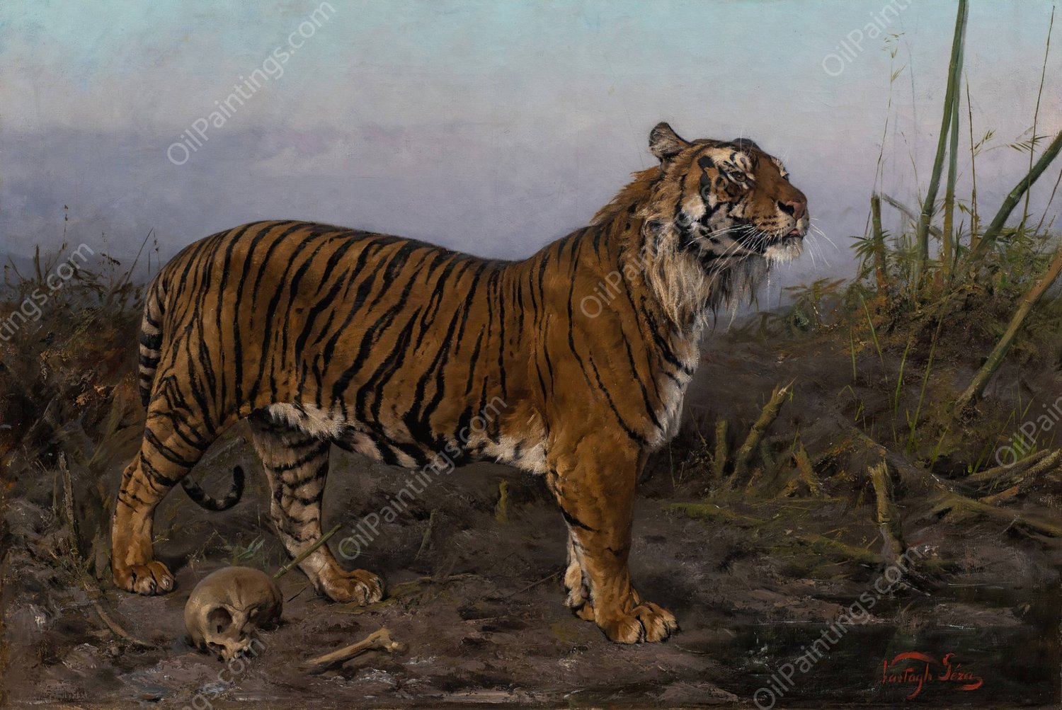 Royal Tiger by Geza Vastagh - Hand-Painted Oil Painting Reproduction