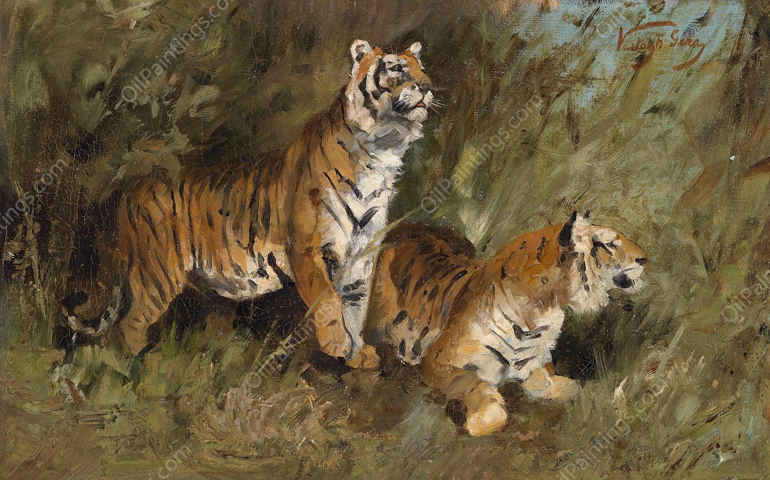 Tiger im hohen Gras by Geza Vastagh - Hand-Painted Oil Painting Reproduction