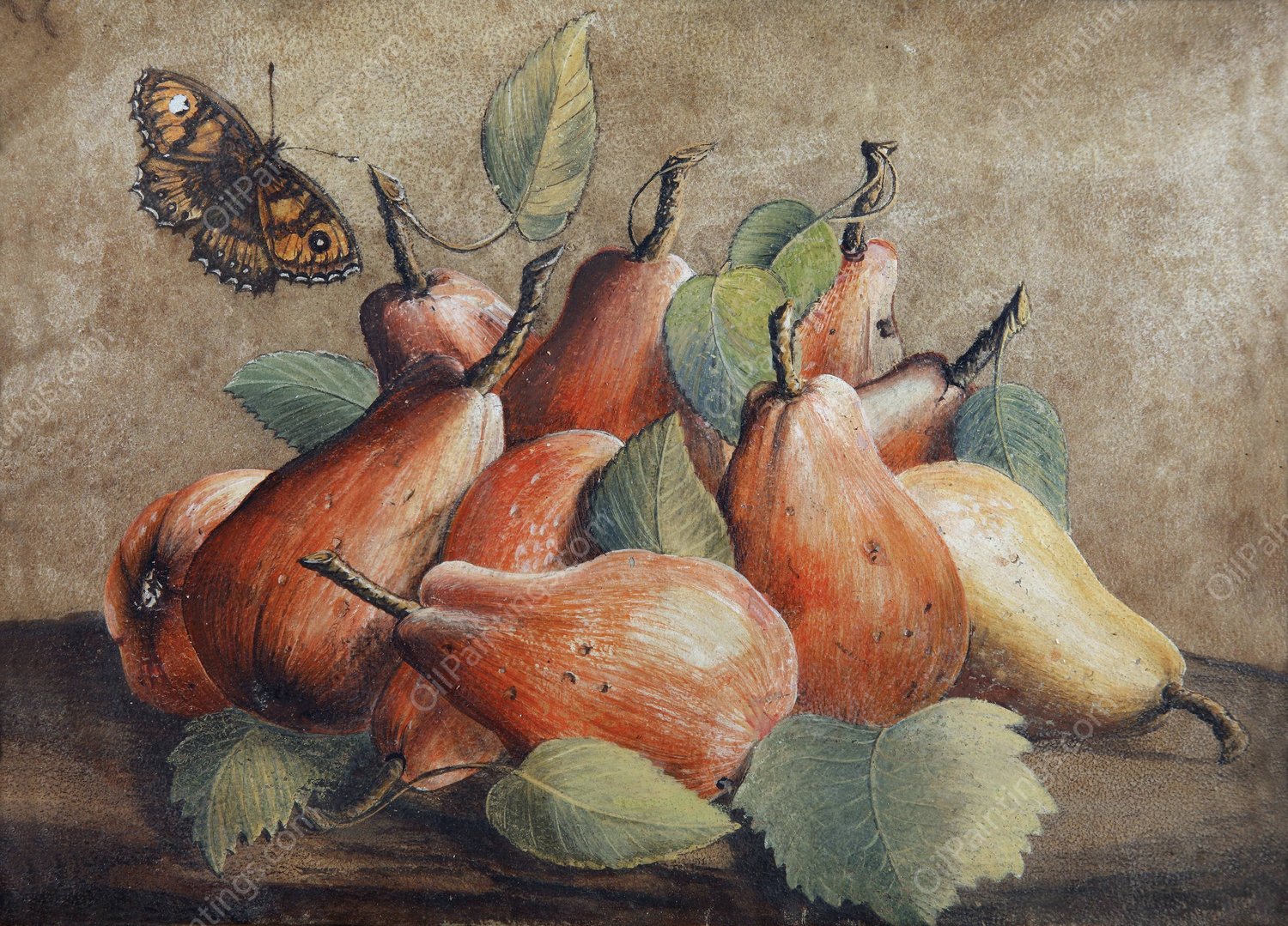 Stillleben Mit Birnen Und Einem Schmetterling by Giovanna Garzoni - Hand-Painted Oil Painting Reproduction