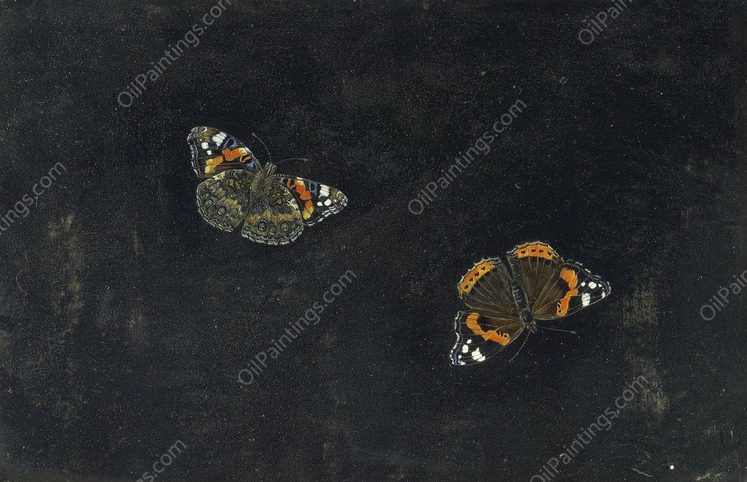 Zwei Schmetterlinge by Giovanna Garzoni - Hand-Painted Oil Painting Reproduction