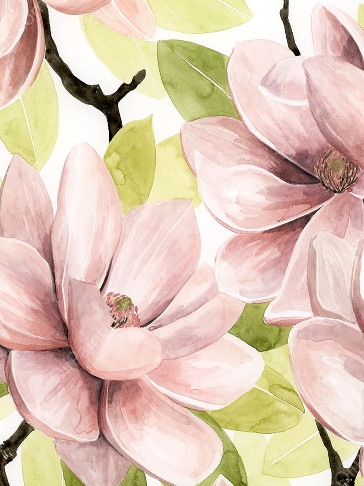 Blush Magnolia I by Grace Popp - Hand-Painted Oil Painting Reproduction