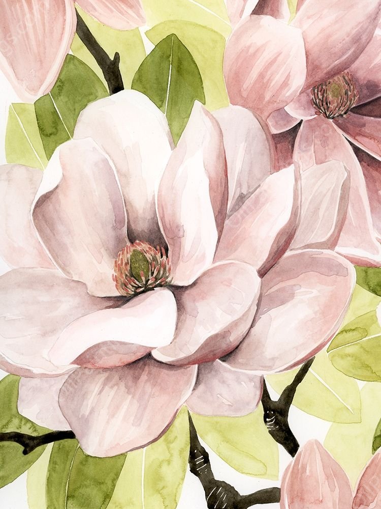 Blush Magnolia II by Grace Popp - Hand-Painted Oil Painting Reproduction