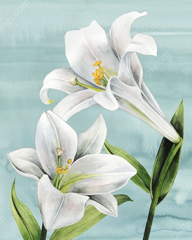 Peaceful Lilies I by Grace Popp - Hand-Painted Oil Painting Reproduction
