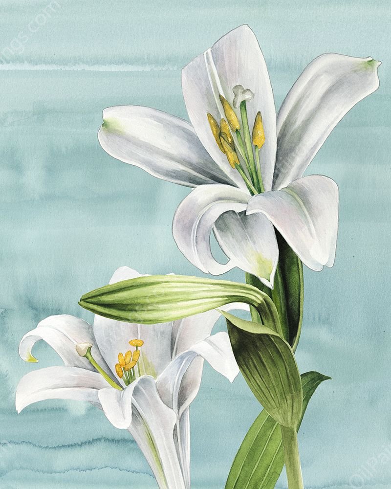 Peaceful Lilies II by Grace Popp - Hand-Painted Oil Painting Reproduction