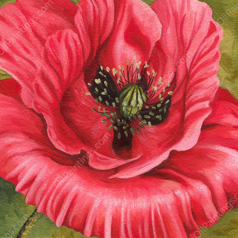 Vivid Poppy I by Grace Popp - Hand-Painted Oil Painting Reproduction