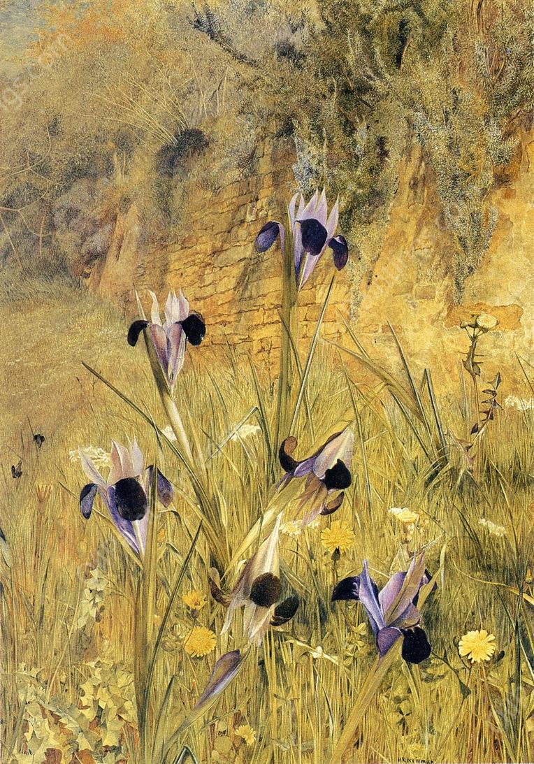 Irises in the Garden by Henry Roderick Newman - Hand-Painted Oil Painting Reproduction