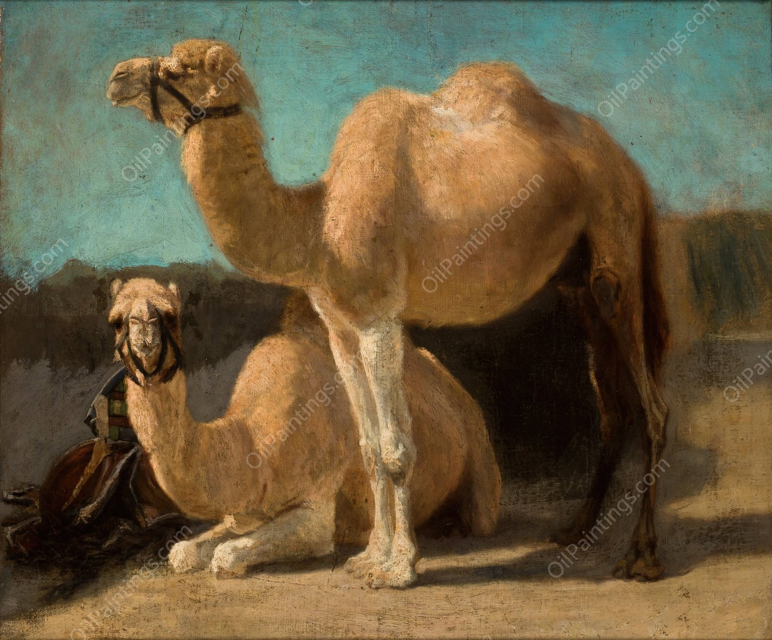 Two Camels  by Henryk Rodakowski - Hand-Painted Oil Painting Reproduction