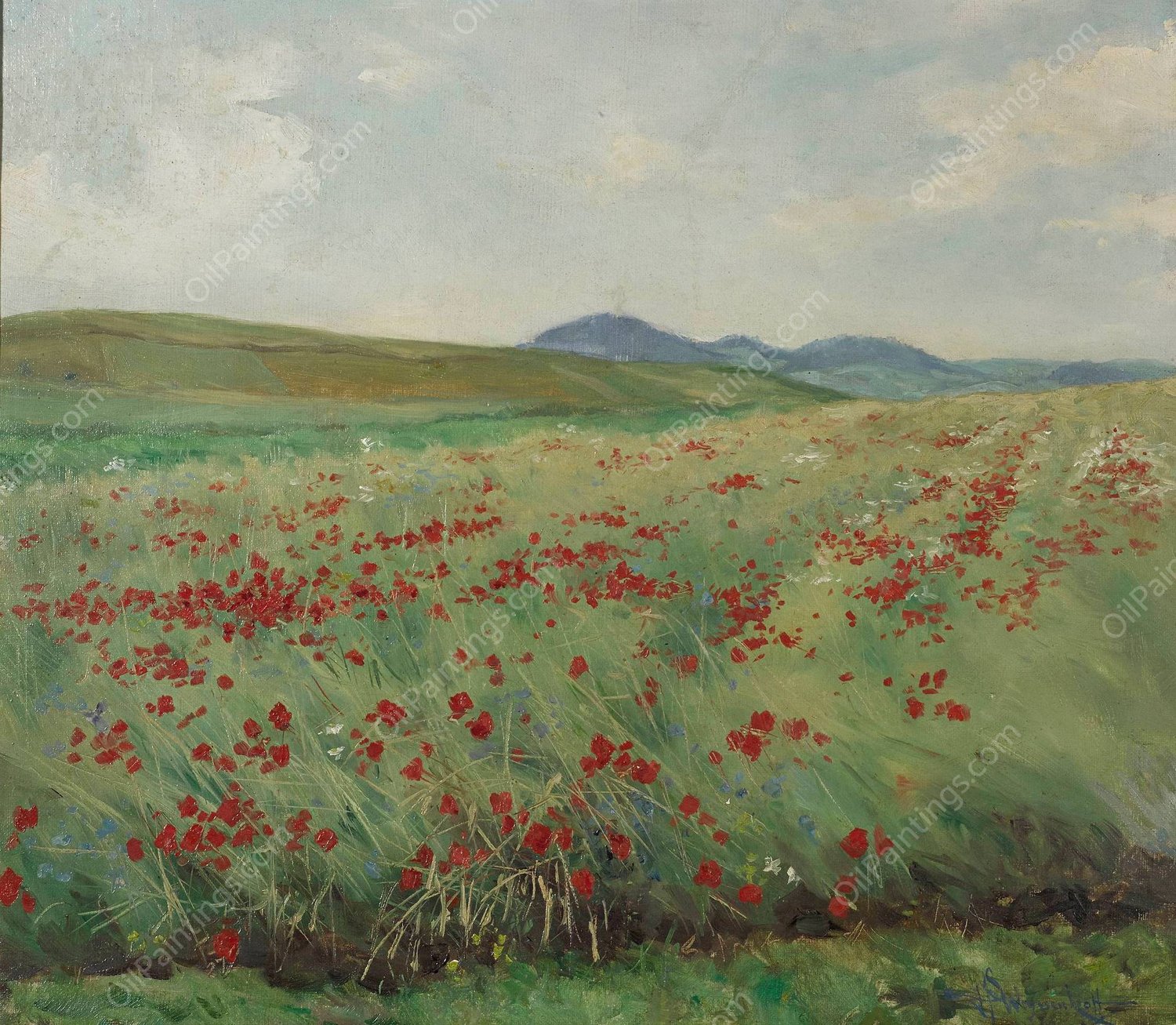 Field of poppies  by Henryk Weyssenhoff - Hand-Painted Oil Painting Reproduction