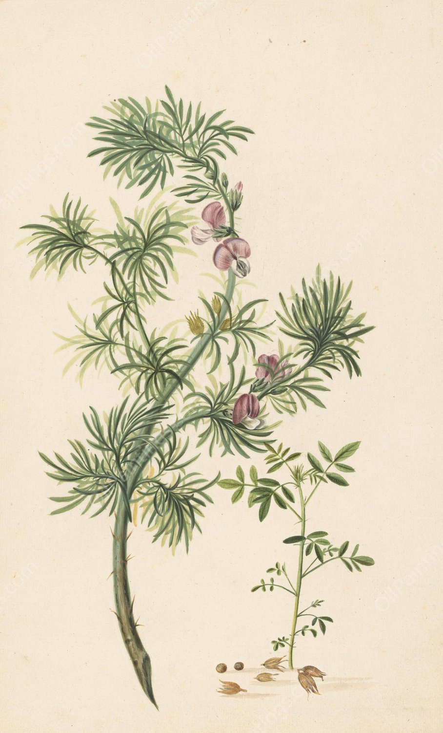 Brem  by Herman Henstenburgh - Hand-Painted Oil Painting Reproduction