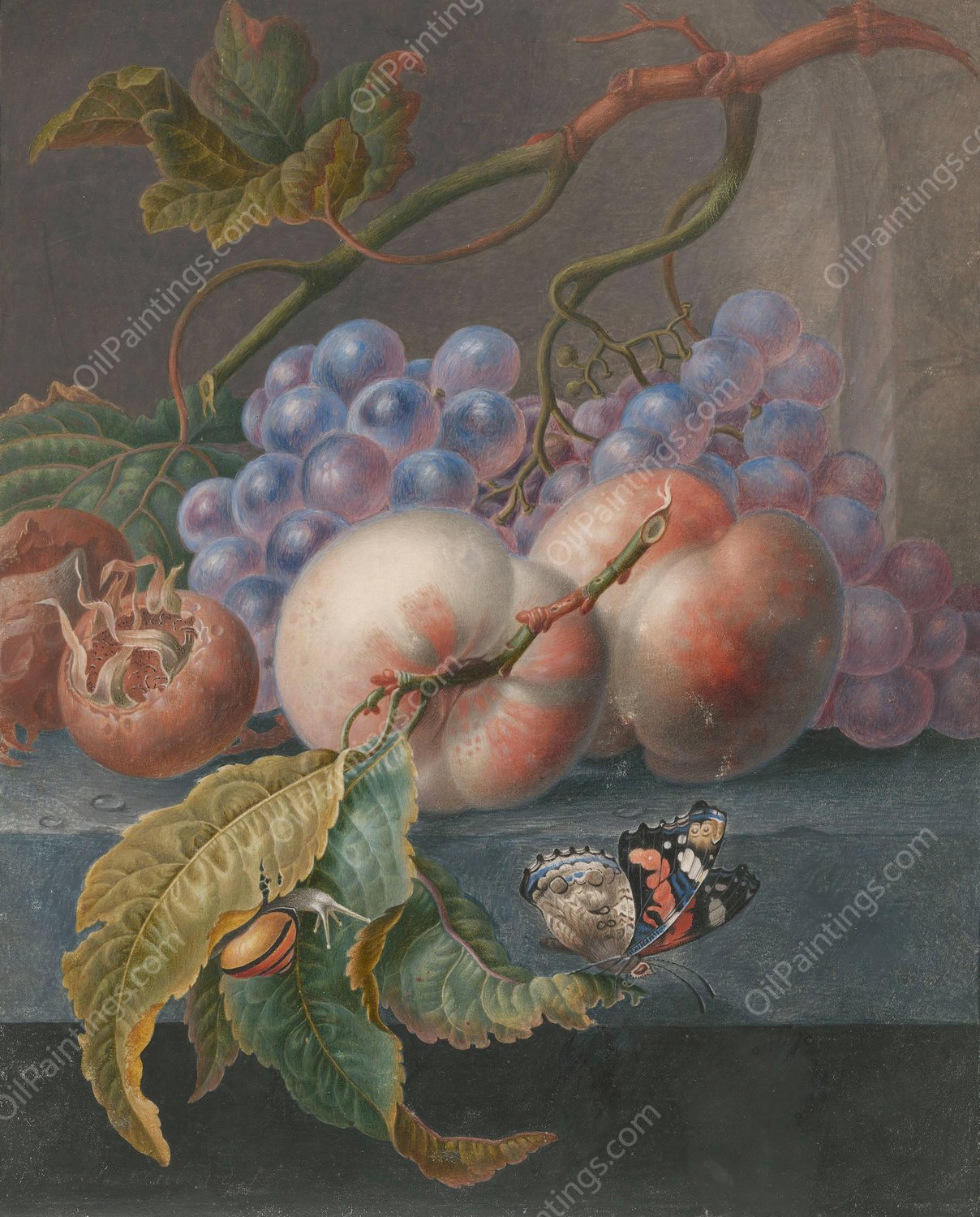 Fruits With A Butterfly And A Snail  by Herman Henstenburgh - Hand-Painted Oil Painting Reproduction