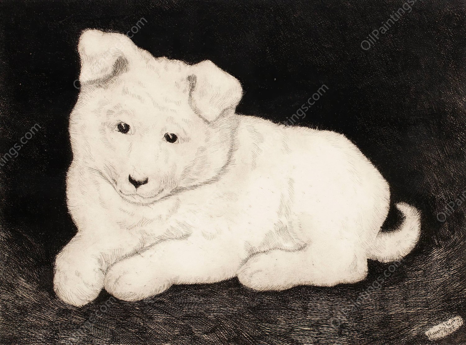 Sneggie, White Puppy  by Hjalmar Hagelstam - Hand-Painted Oil Painting Reproduction