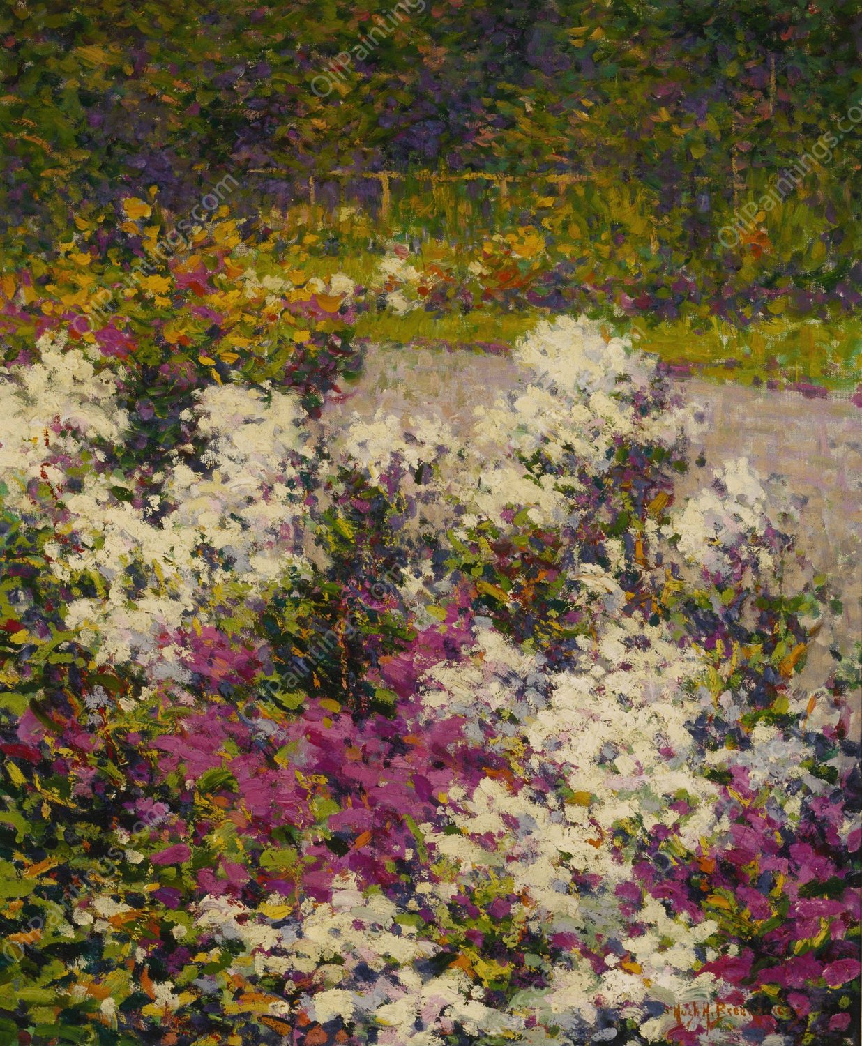 White Phlox  by Hugh Henry Breckenridge - Hand-Painted Oil Painting Reproduction