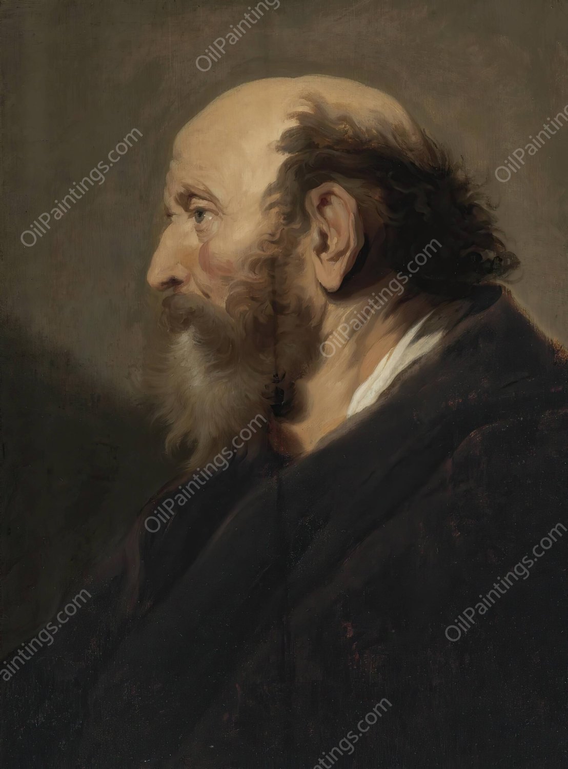 Profile Portrait Of A Bearded Man by Jacob Adriaensz Backer - Hand-Painted Oil Painting Reproduction