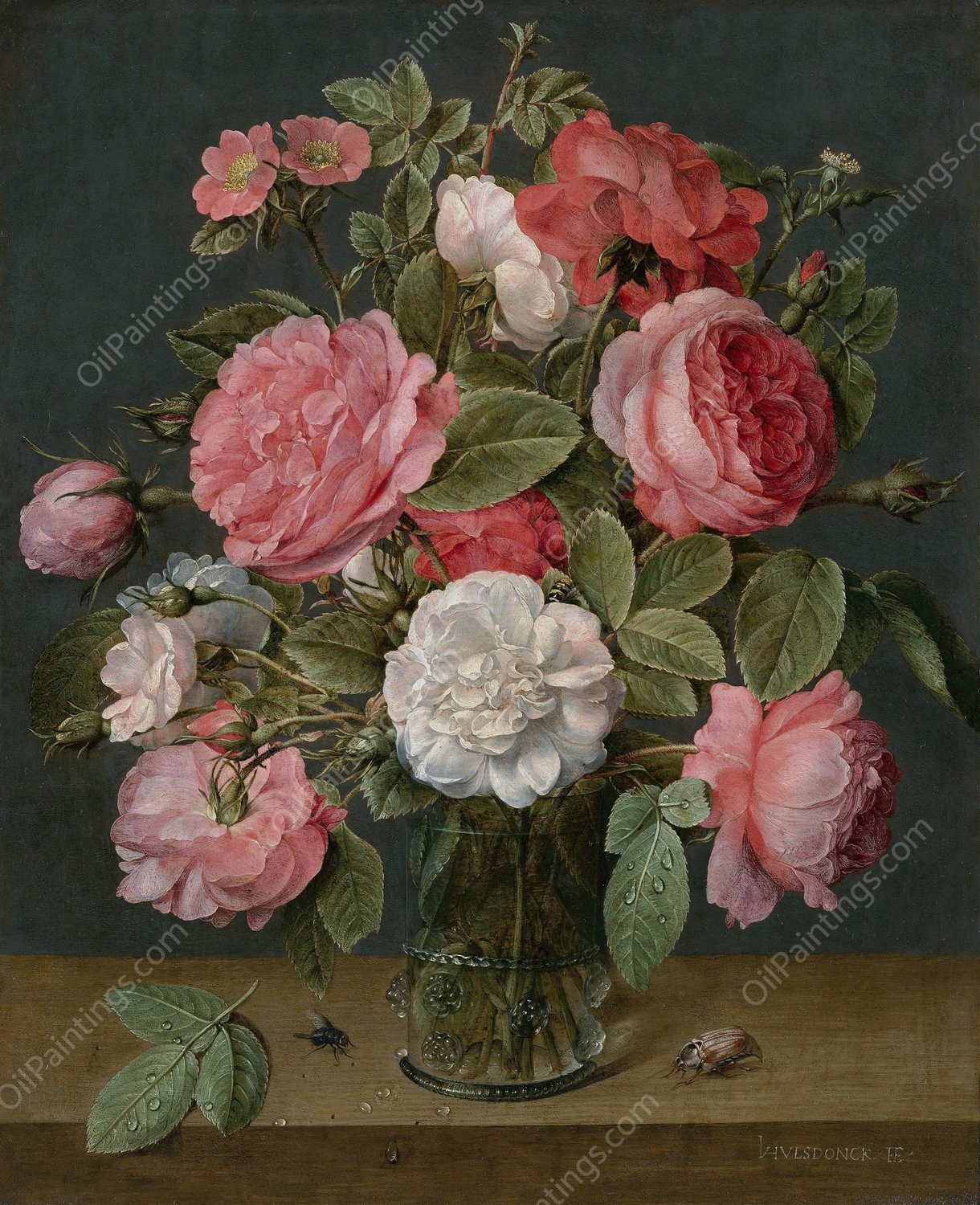 Roses in a Glass Vase  by Jacob Van Hulsdonck - Hand-Painted Oil Painting Reproduction