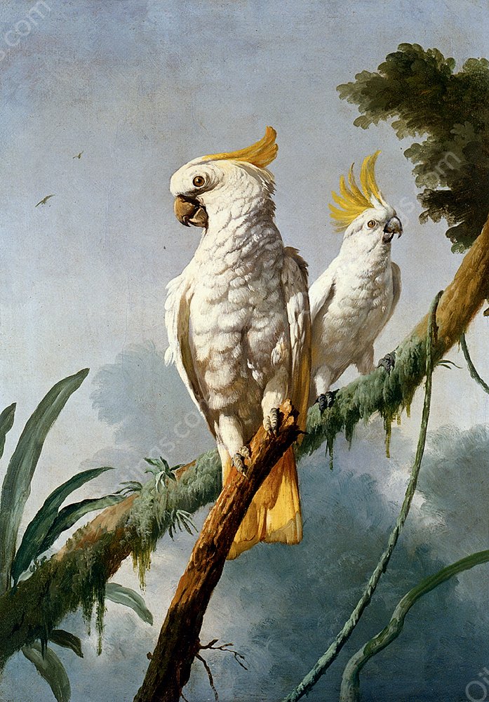 A Pair Of Sulphur-Crested Cocktoos by Jacques Barraban - Hand-Painted Oil Painting Reproduction