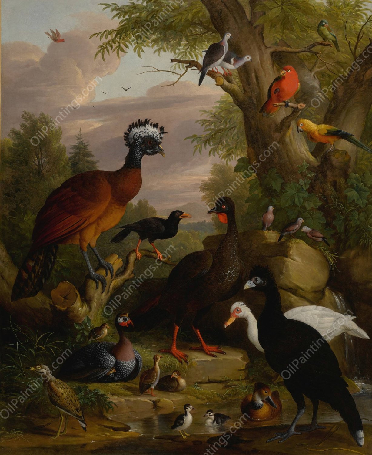 An assembly of birds in a parkland landscape by Jakob Bogdany - Hand-Painted Oil Painting Reproduction