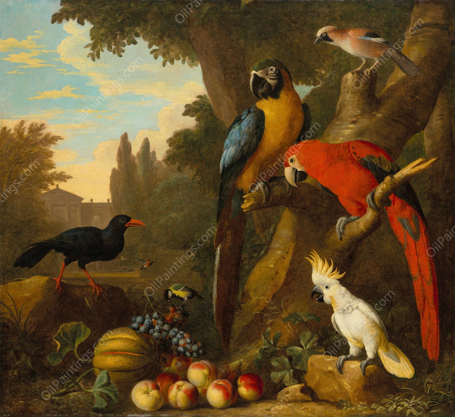 Two macaws, a cockatoo, a red-billed chough and other birds in a landscape with fruit by Jakob Bogdany - Hand-Painted Oil Painting Reproduction