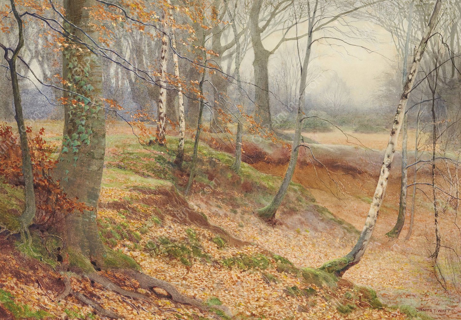 Silver Birch and Beech Wood in Autumn  by James Thomas Watts - Hand-Painted Oil Painting Reproduction