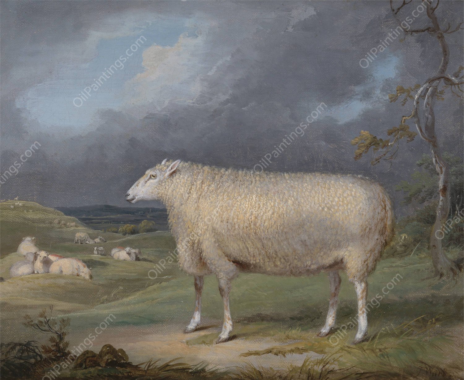 A Border Leicester Ewe  by James Ward - Hand-Painted Oil Painting Reproduction